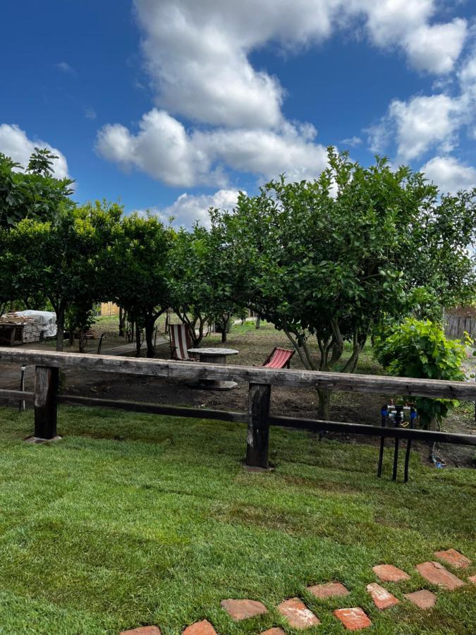 Graziosa Stanza Campidanese Su Segundu Konuk evi Oristano Dış mekan fotoğraf